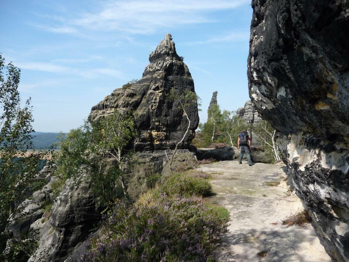 Pension Am Weinberg Saechsische Schweiz Mittelndorf Extérieur photo